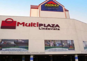 Centro Comercial, En Renta, Av. Miguel Alemán N°5054 , ID  1163,  Lindavista , Guadalupe, Nuevo León, Mexico, 67130,